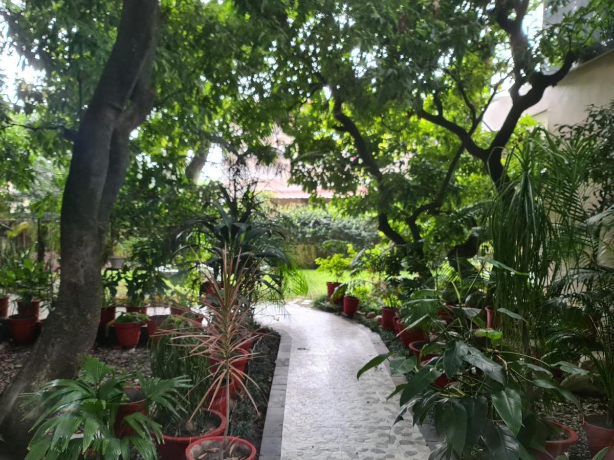 Lychee Bungalow Dehradun Bagian luar foto